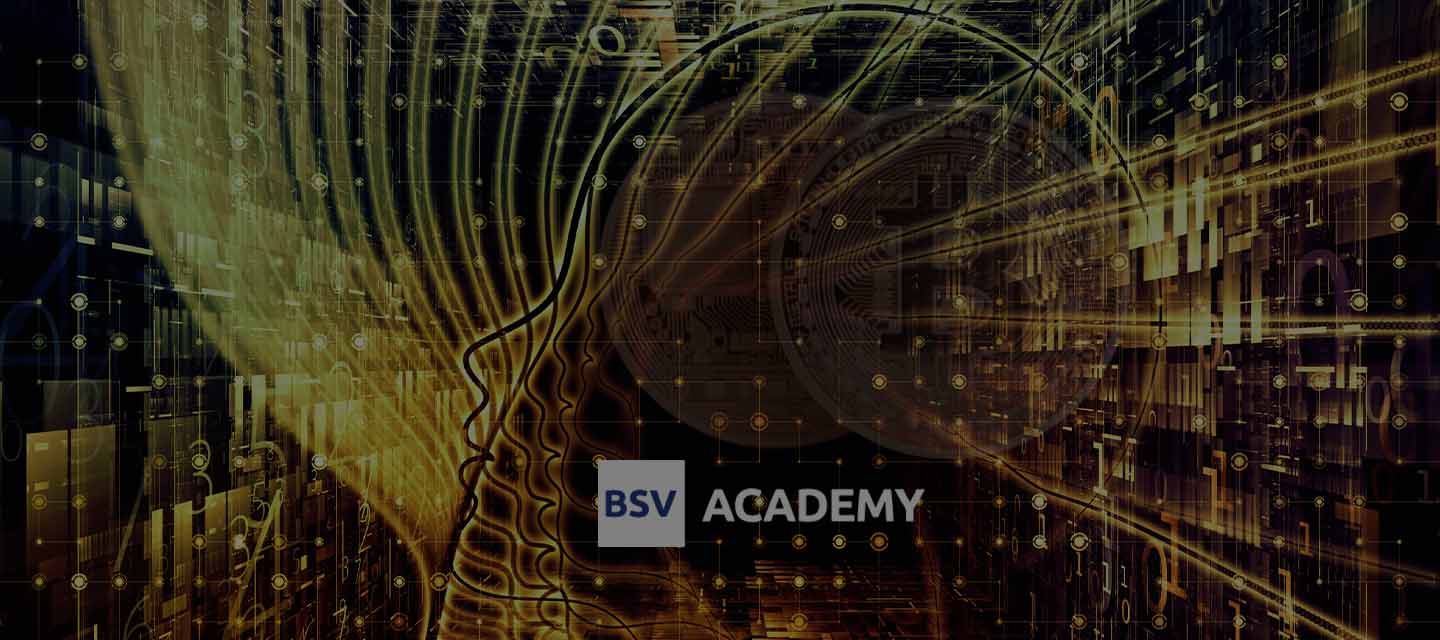 BSV Academy logo over digital brain