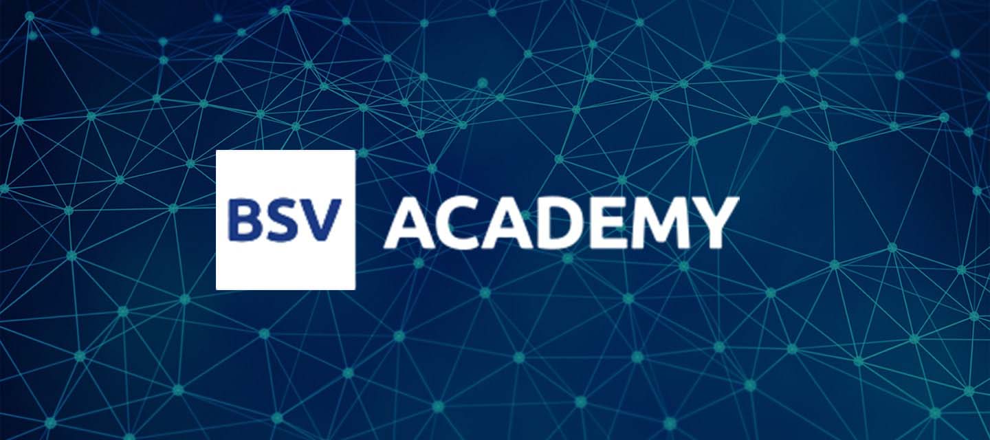 BSV Academy Logo over wireframe concept